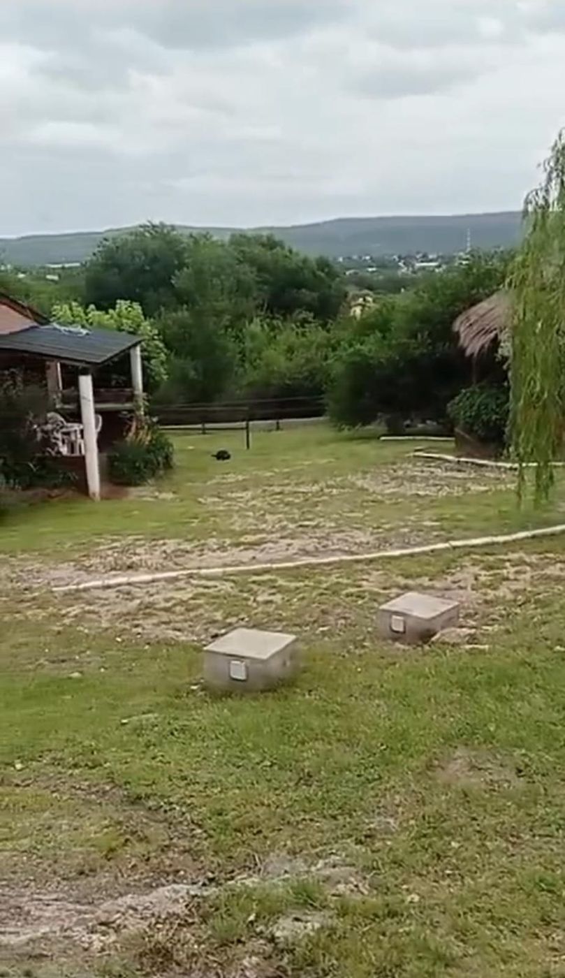 Parque del predio con vista a las sierras